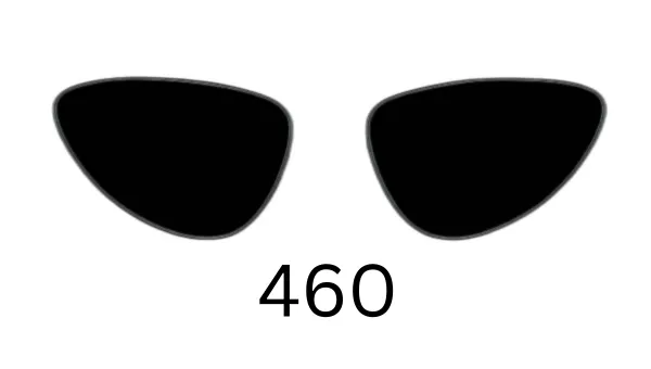 Cat-Eye 460 Solid Sunglasses