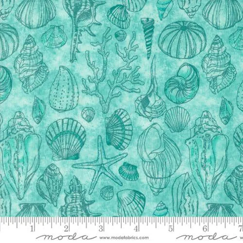 Serena Shores Aqua Sketchy Shells 48774 21